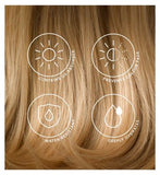 Philip Kingsley Travel Hair Care