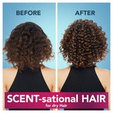 Herbal Essences HELLO HYDRATION Conditioner 275ml Infused With Coconut Extract. Moisturises Dry Damaged Hair