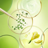 NUXE Nuxuriance® Ultra The Firming Body Milk 400 ml