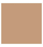 Kylie Cosmetics Skin Tint Blurring Elixir Foundation 30ml