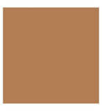 Kylie Cosmetics Skin Tint Blurring Elixir Foundation 30ml