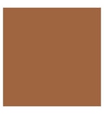 Kylie Cosmetics Skin Tint Blurring Elixir Foundation 30ml