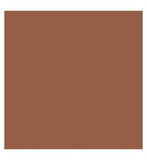 Kylie Cosmetics Skin Tint Blurring Elixir Foundation 30ml