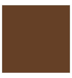 Kylie Cosmetics Skin Tint Blurring Elixir Foundation 30ml