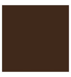 Kylie Cosmetics Skin Tint Blurring Elixir Foundation 30ml