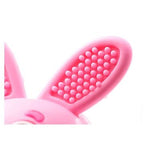 Bobbie Bunny Baby Teether Toy Rose Pink | Twist & Bounce Teething Toy