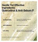 Anua Heartleaf Quercetinol Pore Deep Cleansing Foam 150ml