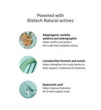 AVEDA Scalp Solutions Overnight Renewal Serum Infused With Hyaluronic Acid 50ml