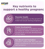 Centrum Pregnancy + Docosahexaenoic Acid Omega 3 Vitamins - 30 Tablets, 30 Capsules