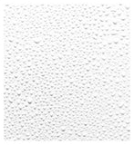 Fresh Rose Instant Hydration Mist 100ml