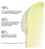 Fresh Sugar Mint Rush Lip Treatment 4.3g