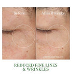 Fresh Tea Elixir Skin Resilience Activating Serum 50ml