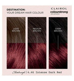 Clairol Colour Strong 4.46 Intense Dark Red