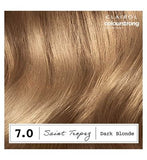 Clairol Colour Strong Permanent Hair Dye 7.0 Dark Blonde 199ml