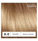 Clairol Colour Strong Permanent Hair Dye 8.0 Medium Blonde 199ml