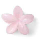 Boots Flower Jaw Claw Clip 1s