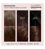 Clairol Colour Strong Permanent Hair Dye - 5.3 Medium Golden Brown 199ml