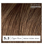 Clairol Colour Strong Permanent Hair Dye - 5.3 Medium Golden Brown 199ml
