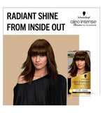 Schwarzkopf Oleo Intense Permanent Espresso Blonde 6-10 Hair Dye