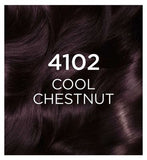 Casting Crème Gloss 4102 Cool Chestnut