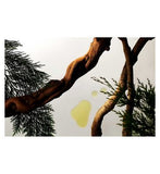 Rituals Homme & Sport Collection Men's Small Bath & Body Gift Set