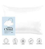 Silver Cloud Fuchsia Heatless Curlers and White Pillowcase