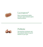 The Nue Co. Pre+Probiotic - Everyday Gut Maintenance - 60s