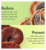 Origins Dr. Weil Mega-Mushroom Dark Spot Brightening Serum 30Ml