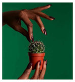 Mylee Gel Polish Diva 8ml