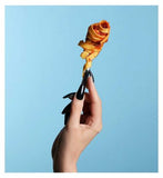 Mylee Gel Polish Glitter No Wipe Top Coat 10ml