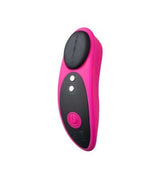 Lovense Ferri Panty Vibrator