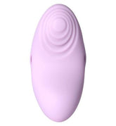Svakom Echo 2 App Controlled Panty Vibrator
