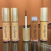 Hegai & Esther (H&E) Photo Perfect Concealer - FIERCE - Brandlistry Nigeria