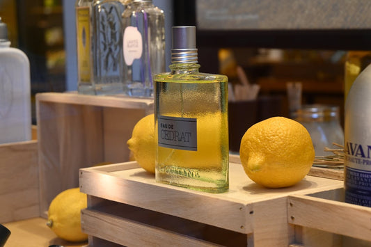 How to Become a Top-Selling Perfume Vendor in Nigeria - Brandlistry Nigeria