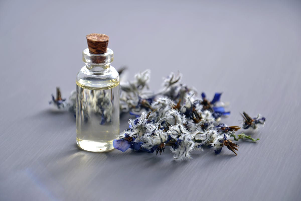 Where to Sell Locally Made Perfumes in Nigeria: Top Platforms in 2025 - Brandlistry Nigeria