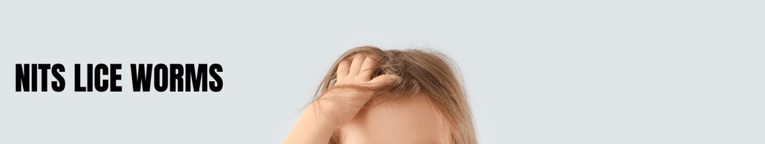 Nits Lice Worms - Brandlistry Nigeria