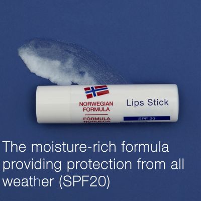 Neutrogena Norwegian Formula Lip Care 4.8g