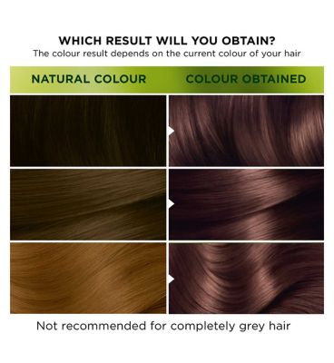 Garnier Nutrisse Ultra Color 4.15 Iced Coffee Brown Permanent Hair Dye