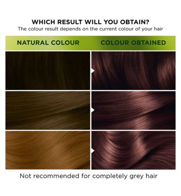 Garnier Nutrisse Ultra Color 5.25 Frosted Chestnut Brown Permanent Hair Dye