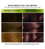 Garnier Nutrisse Ultra Color 5.25 Frosted Chestnut Brown Permanent Hair Dye