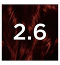 Garnier Nutrisse Ultra Color 2.6 Dark Cherry Red Permanent Hair Dye