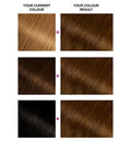 Garnier Olia 5.3 Golden Brown No Ammonia Permanent Hair Dye