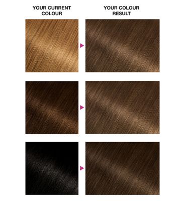Garnier Olia 6.0 Light Brown No Ammonia Permanent Hair Dye