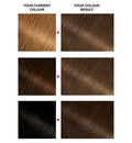 Garnier Olia 6.0 Light Brown No Ammonia Permanent Hair Dye