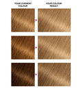 Garnier Olia 8.0 Blonde No Ammonia Permanent Hair Dye