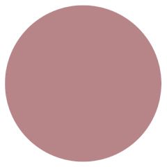 L'Oreal Paris True Match Blusher