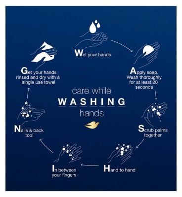 Dove Purely Pampering Liquid Hand Wash Shea Butter with Warm Vanilla 250ml