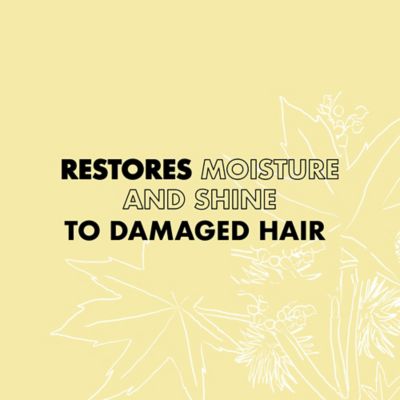 SheaMoisture Strengthen & Restore Hair Treatment Mask Jamaican Black Castor Oil Silicone and Sulphate Free 355 ml