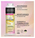 John Frieda Sheer Blonde Go Blonder Lightening Conditioner 500ml