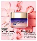 L'Oreal Paris Age Perfect Golden Age Night Cream 50ml
